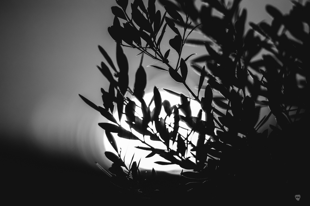 leiria sunraise b&w-3.jpg